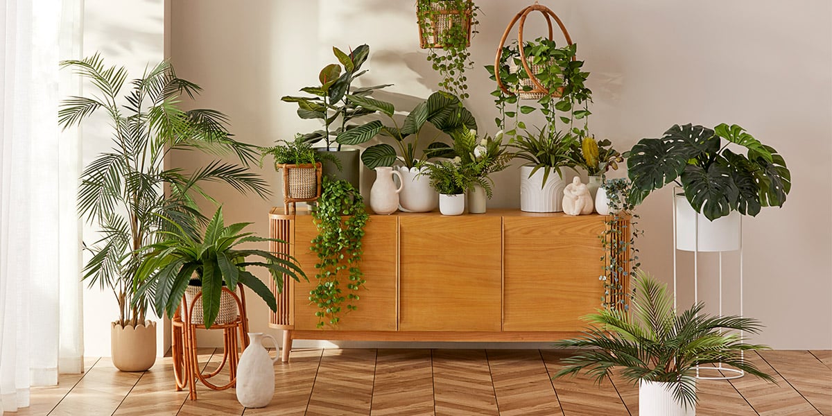 Shop The Artificial Plants & Indoor Pots Guide | Adairs