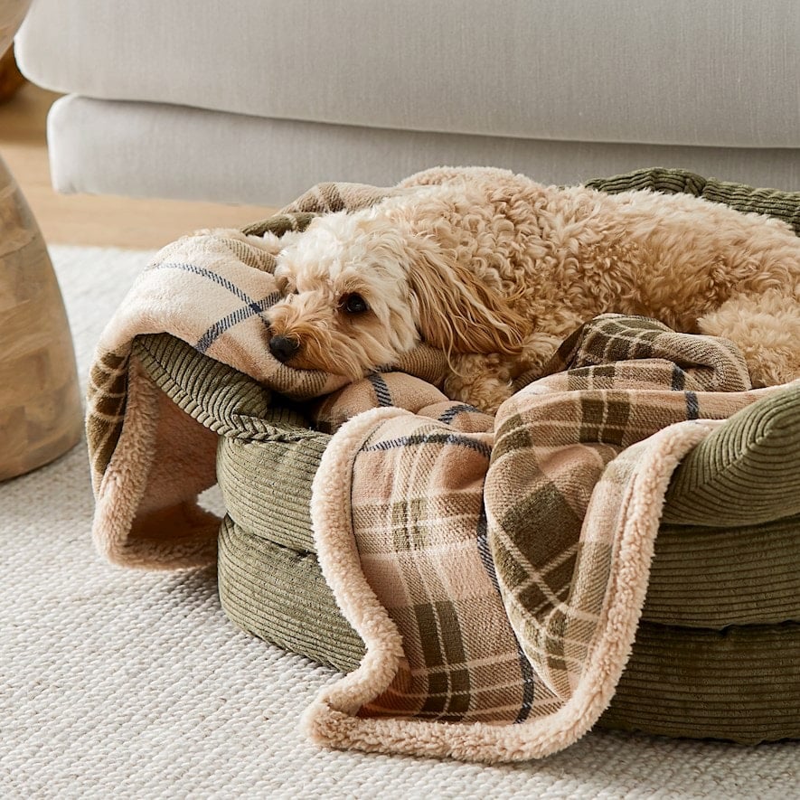 Maisy Biscuit Forest Check Pet Blanket Adairs