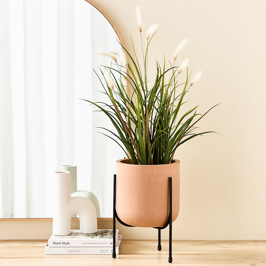 Reed Green Grass Foxtail Plant | Adairs