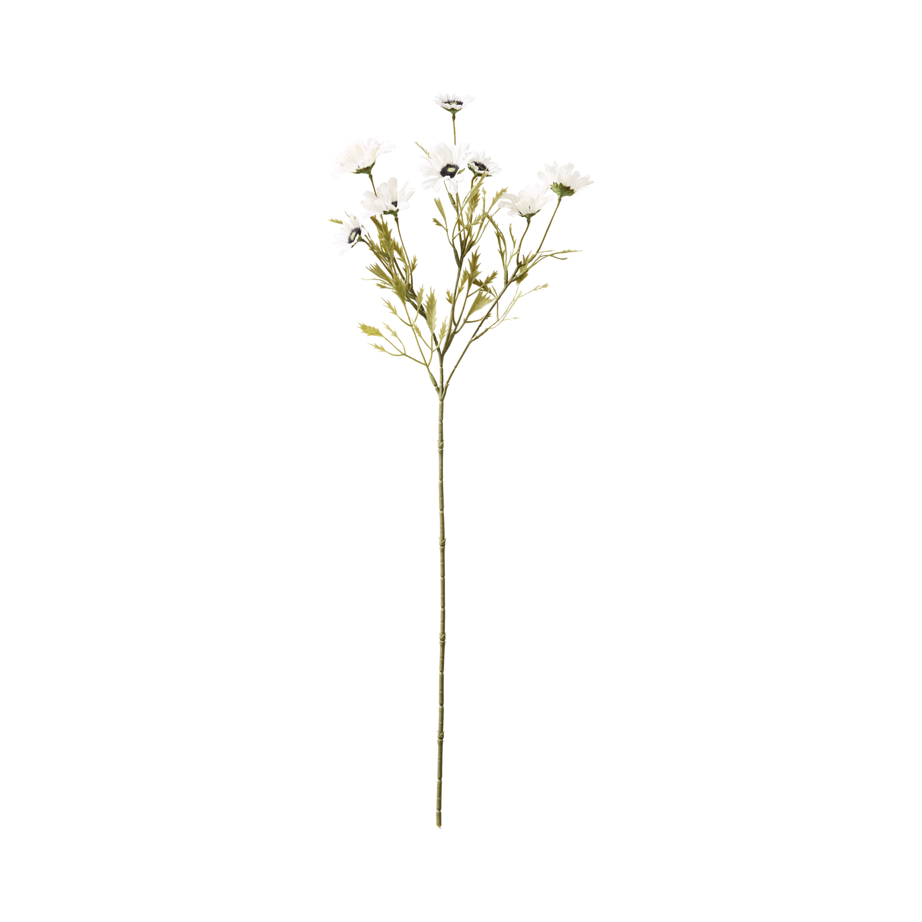 Fleur Stem Cream Spray Chrysanthenum| Plants and Stems | Adairs