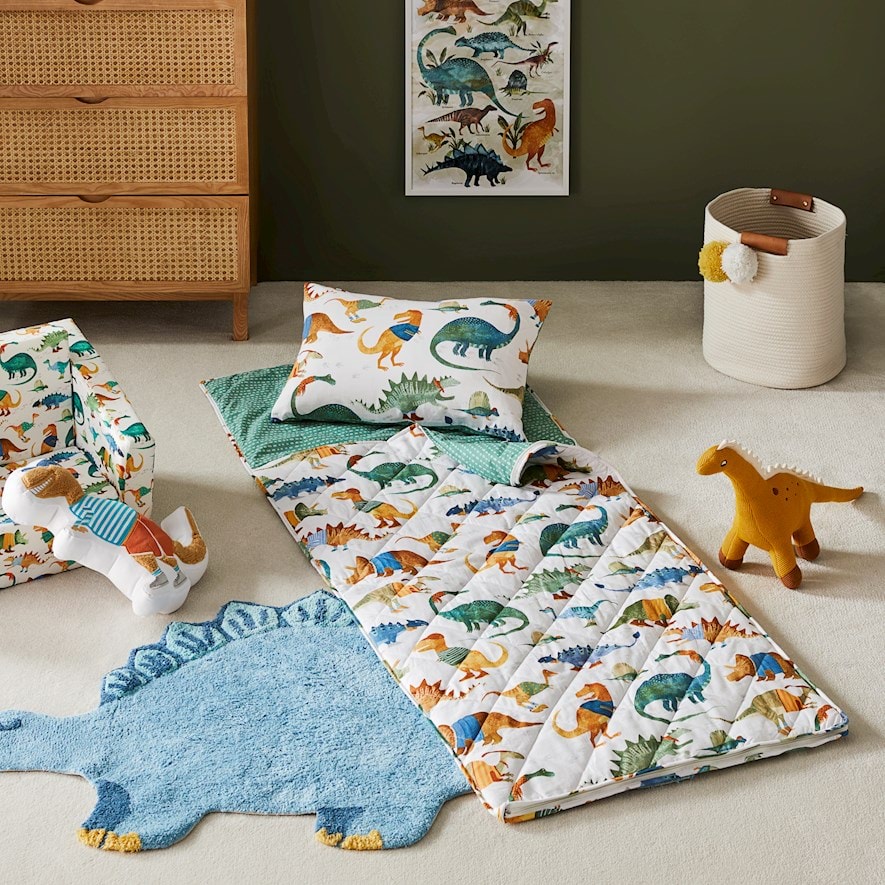 Kids dinosaur shop sleeping bag