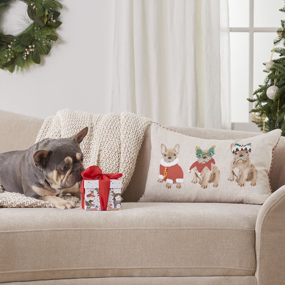 Festive French Bulldog Cushion Adairs