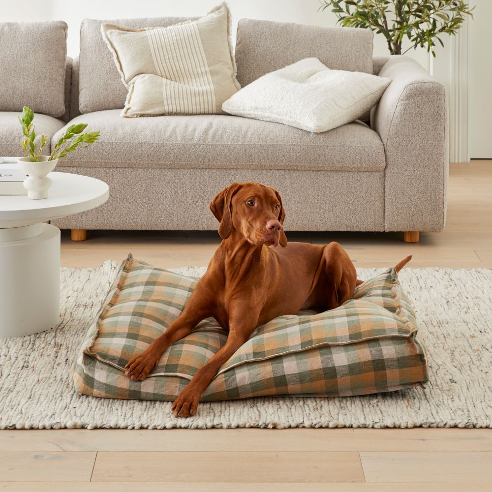 Fetch dog beds sale