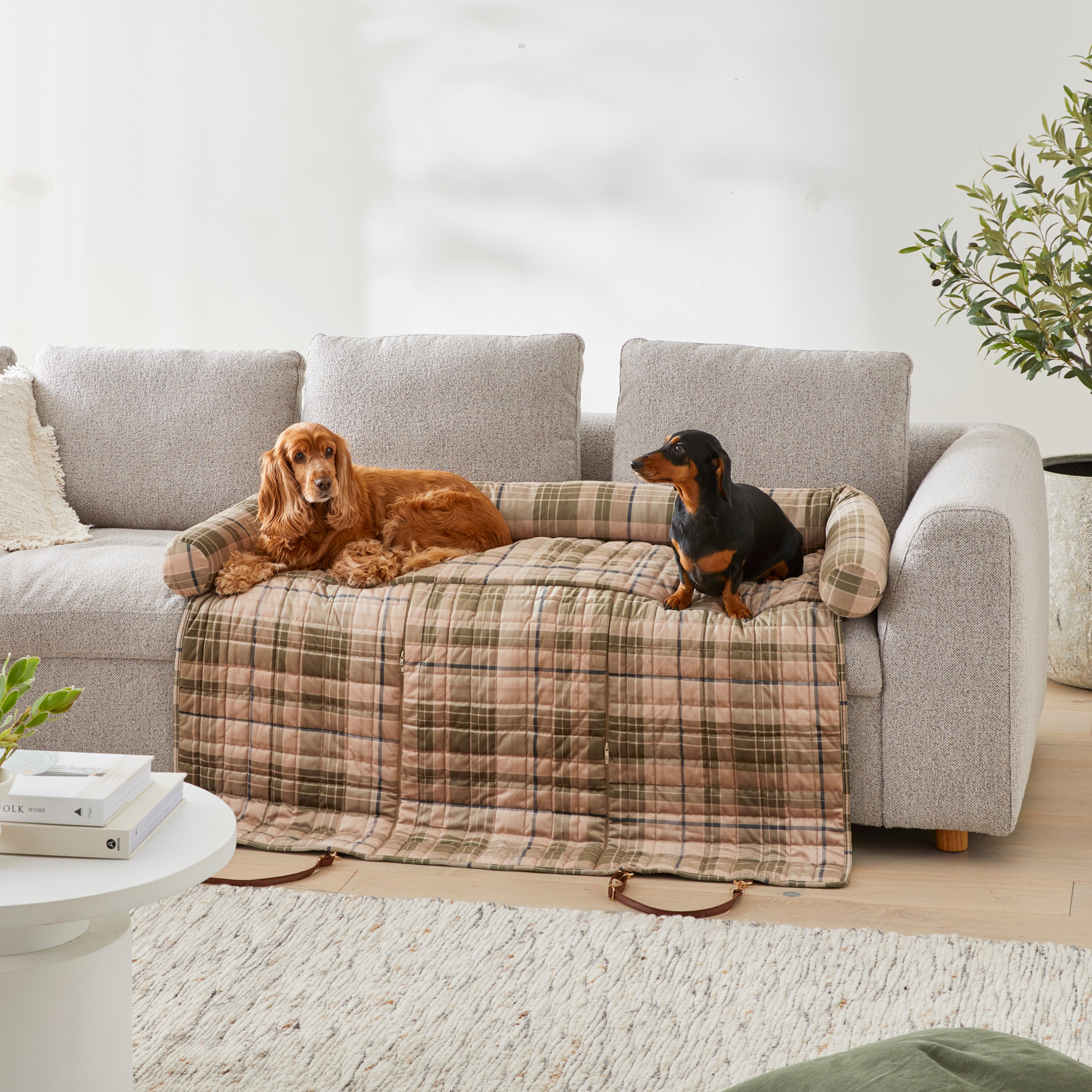 Fold away hotsell dog bed