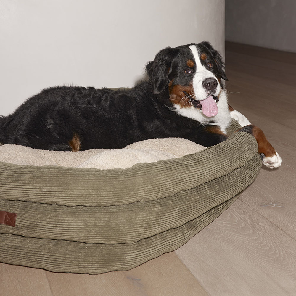 Dog beds outlet groupon