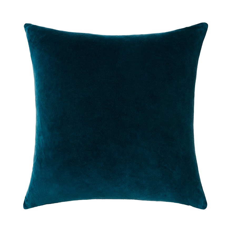 Adairs on sale velvet cushion