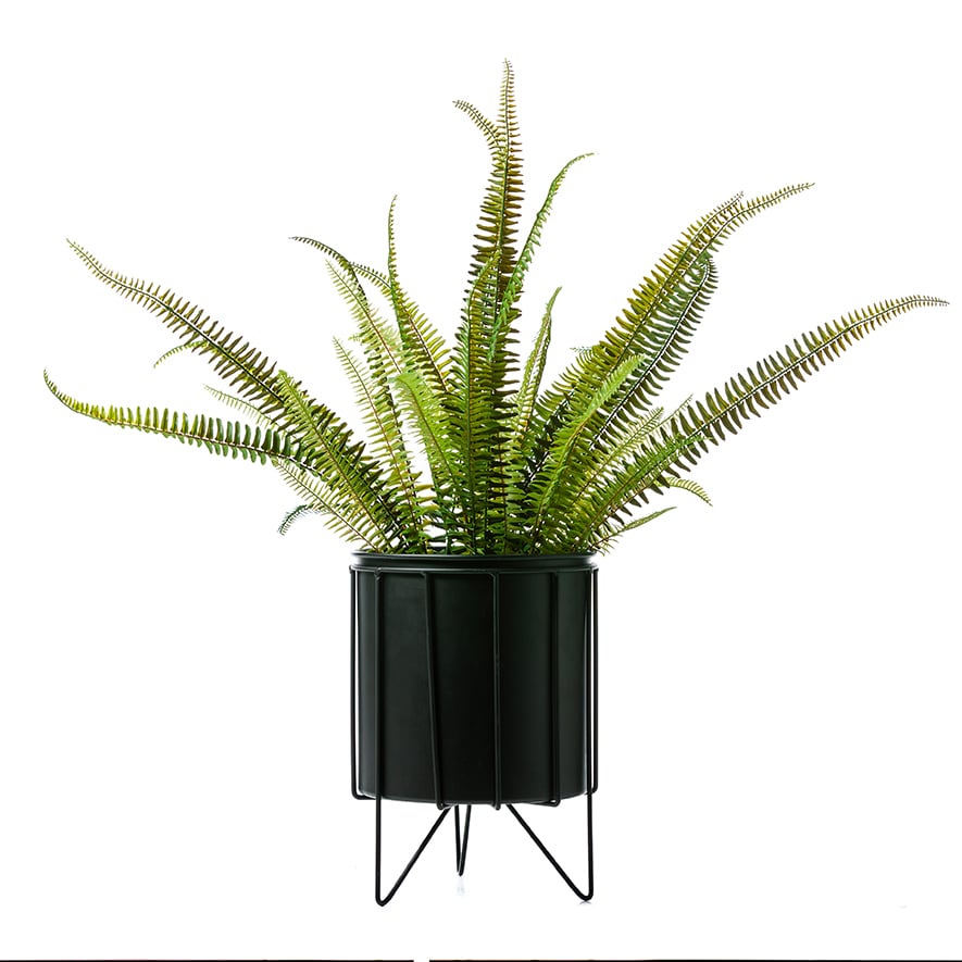 Stockholm Plant Stand in Black Adairs