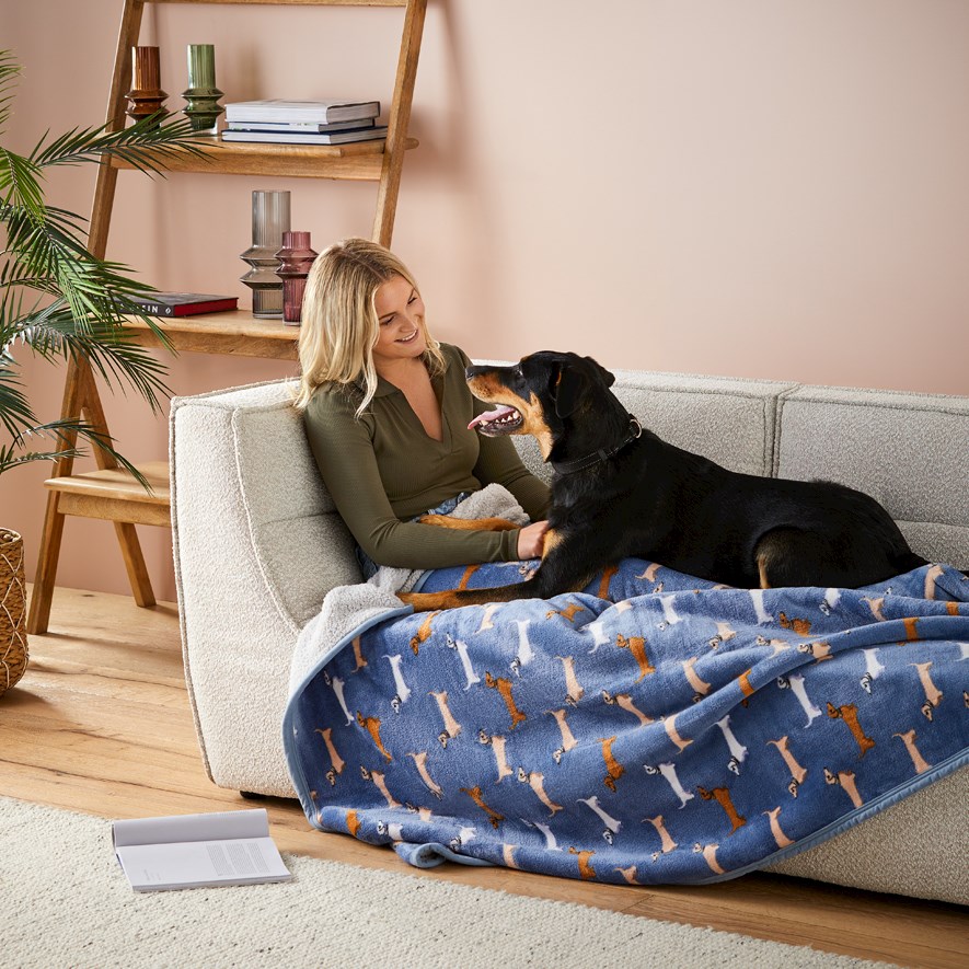 Dachshund best sale blanket asda