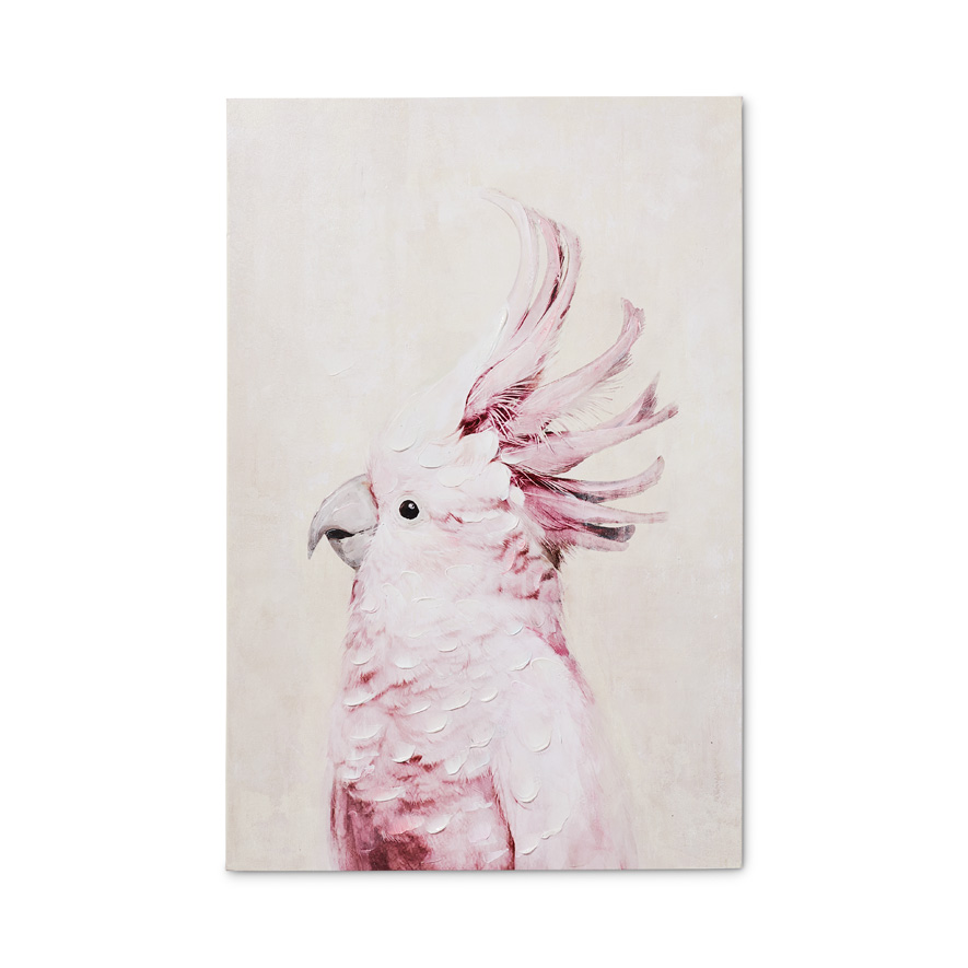 Wildbird galah on sale